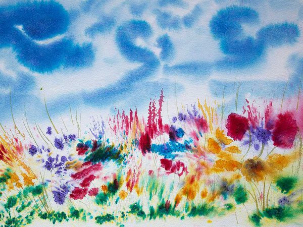 Hebridean Machair Flowers