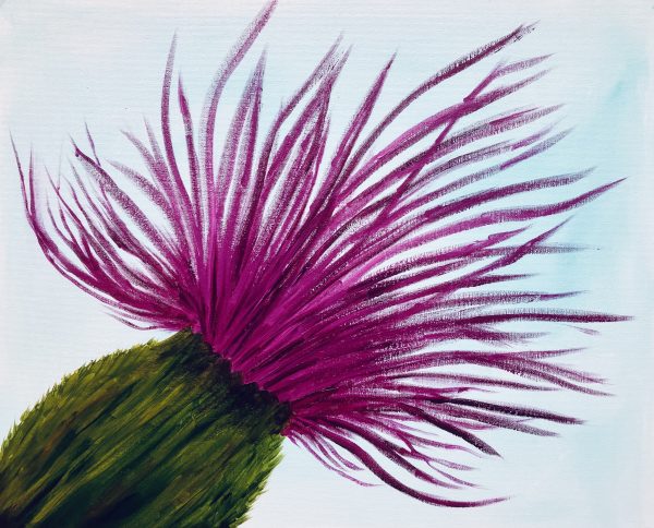 Highland Thistle oil painting for sale